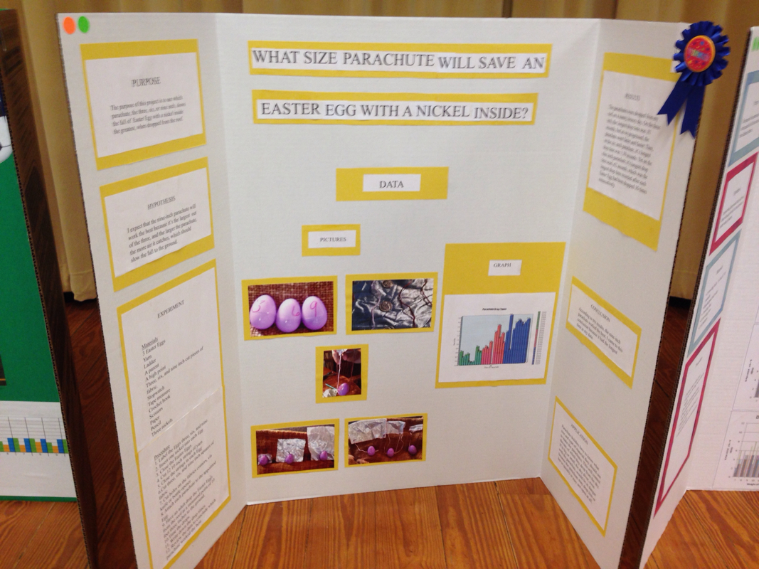 Pine Trail's winning Science Fair Projects - Mrs. Schandel's 5th Grade ...