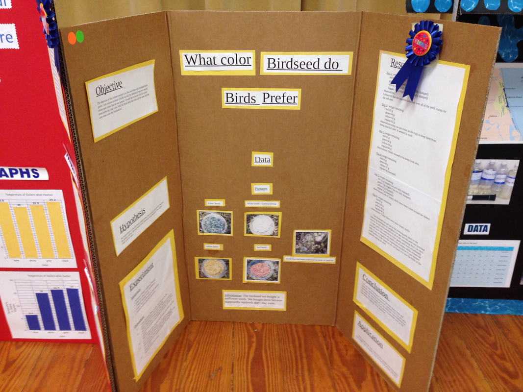 science fair project assignments