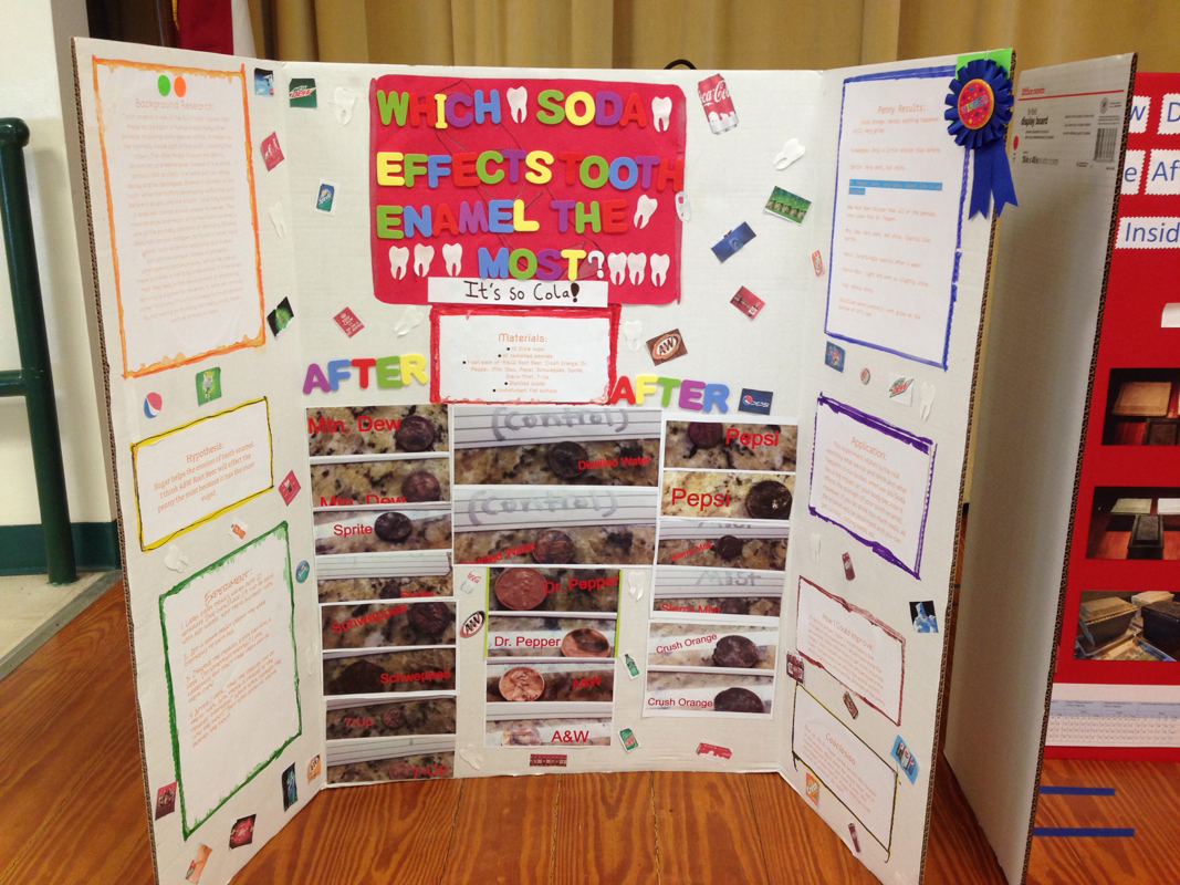 Science Fair Project Ideas 5th Grade